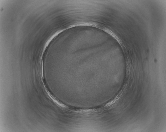 X0000078831127200611271250