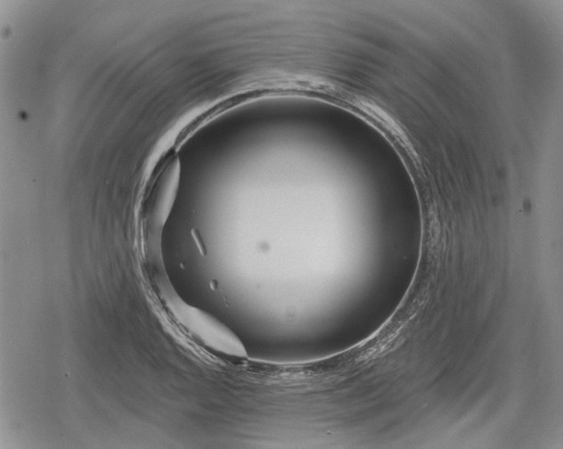 X0000078831128200611271250