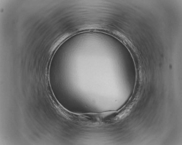 X0000078831129200611271250