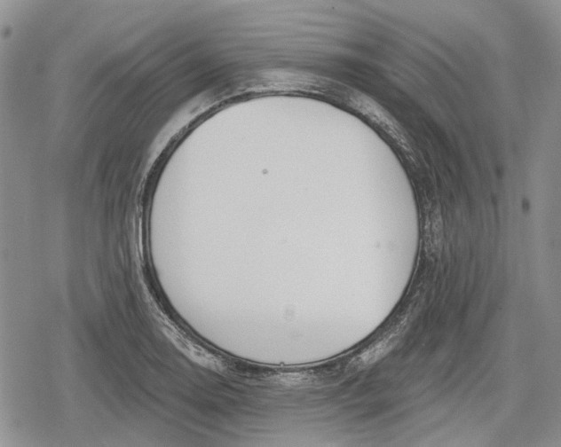 X0000078831130200611271250