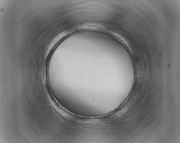 X0000078831131200611271250