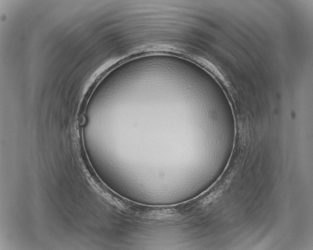 X0000078831133200611271250