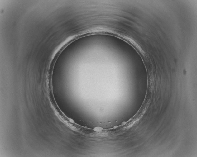 X0000078831134200611271250