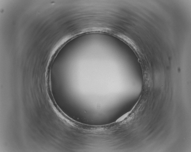 X0000078831135200611271250