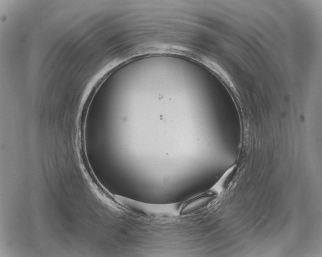 X0000078831136200611271250