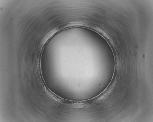 X0000078831137200611271250