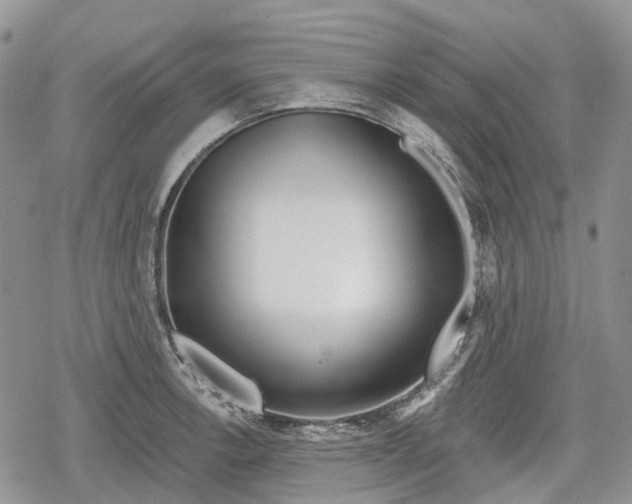 X0000078831138200611271250