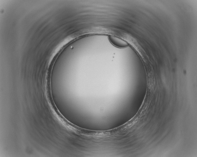 X0000078831139200611271250