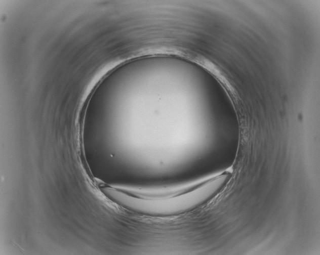 X0000078831140200611271250