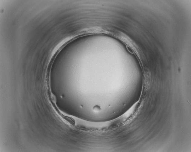 X0000078831141200611271250