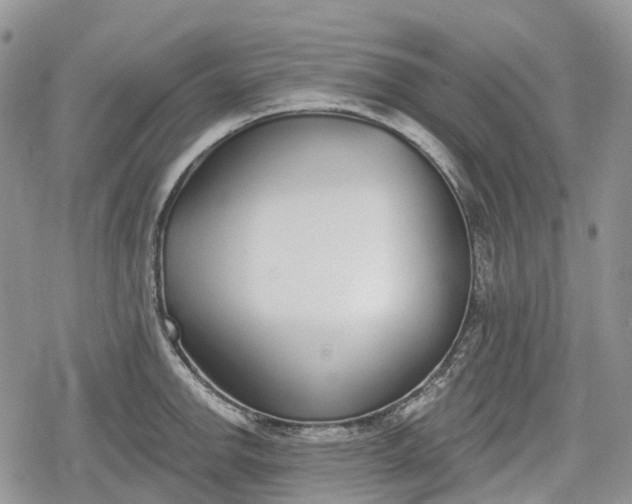 X0000078831142200611271250