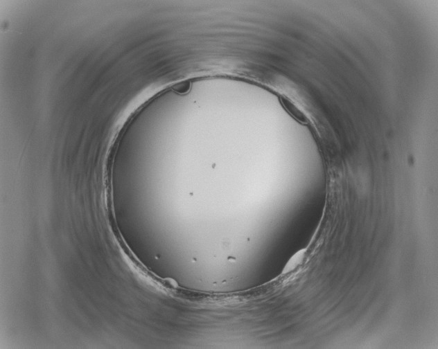 X0000078831143200611271250