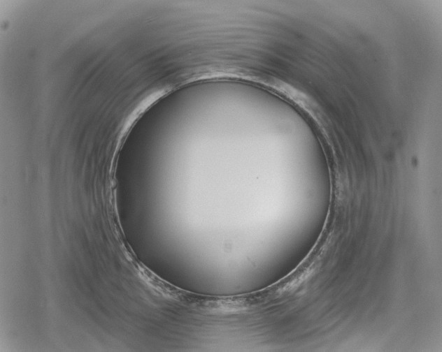 X0000078831145200611271250