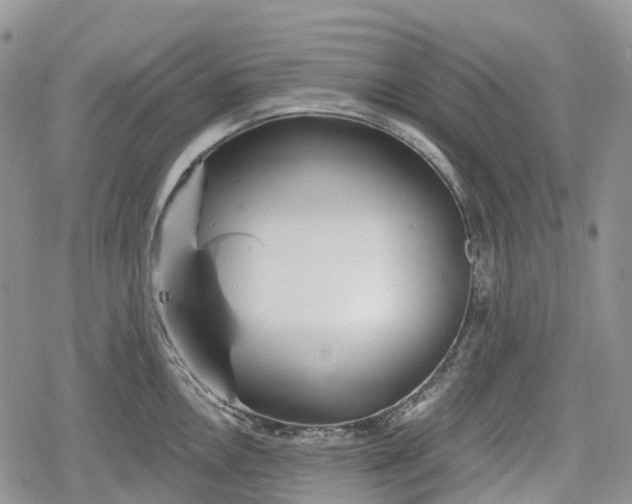 X0000078831146200611271250