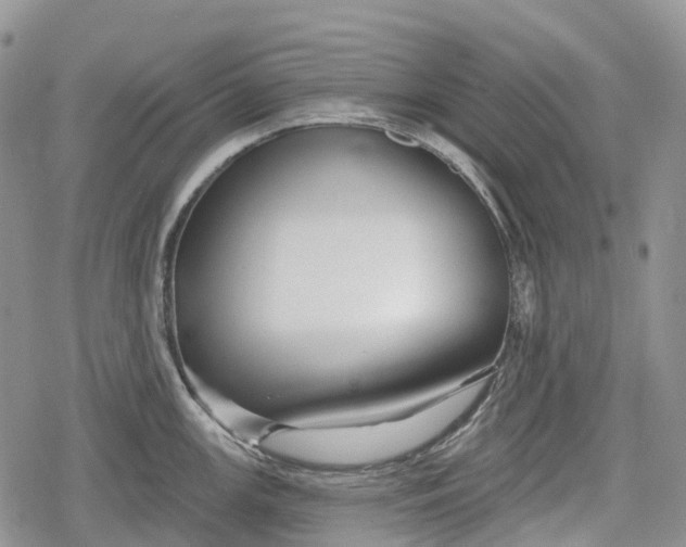 X0000078831147200611271250