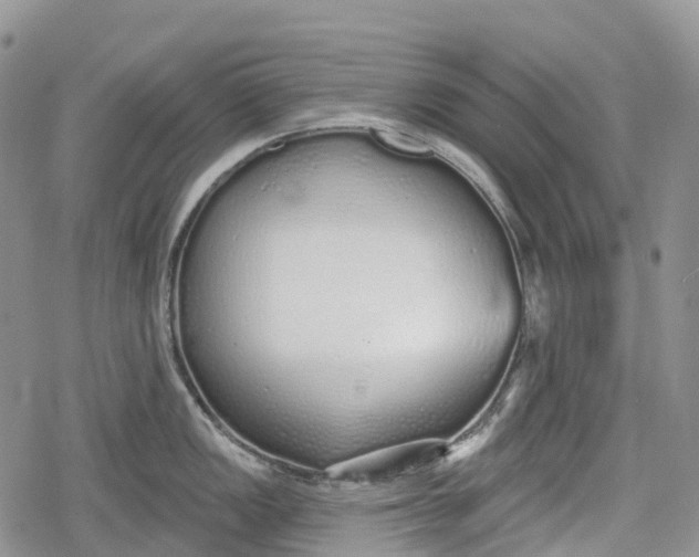 X0000078831149200611271251