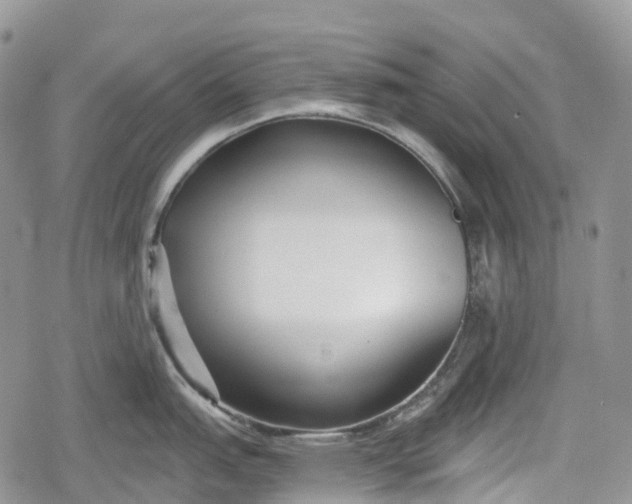 X0000078831151200611271251