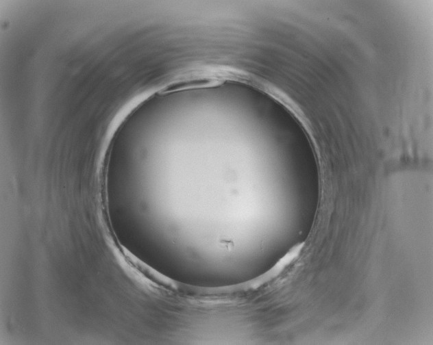 X0000078831152200611271251