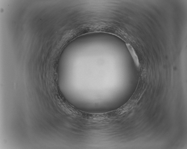 X0000078831153200611271250