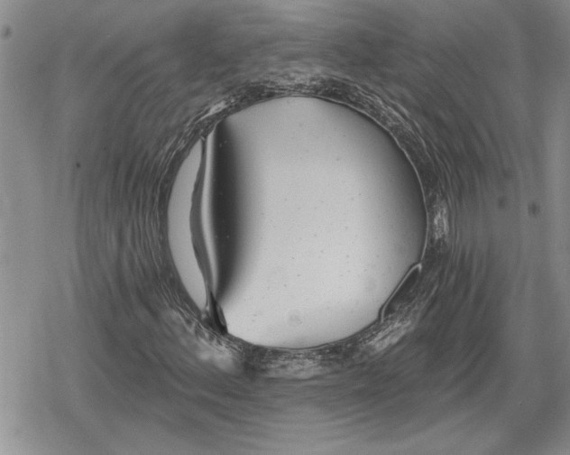 X0000078831156200611271250