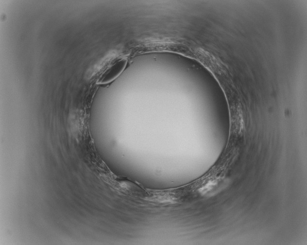 X0000078831157200611271250