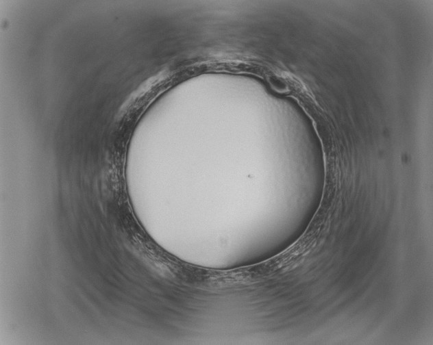 X0000078831159200611271250