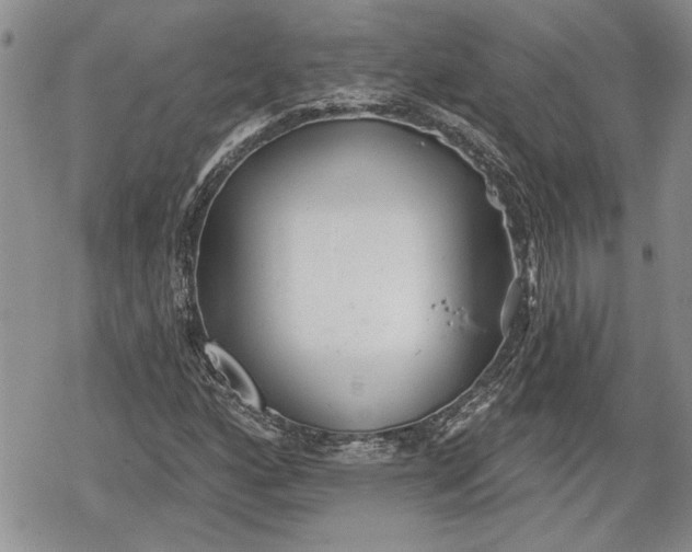 X0000078831160200611271250