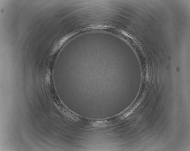 X0000078831161200611271250