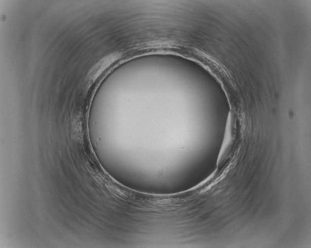 X0000078831162200611271250