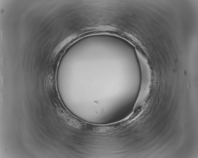 X0000078831163200611271250