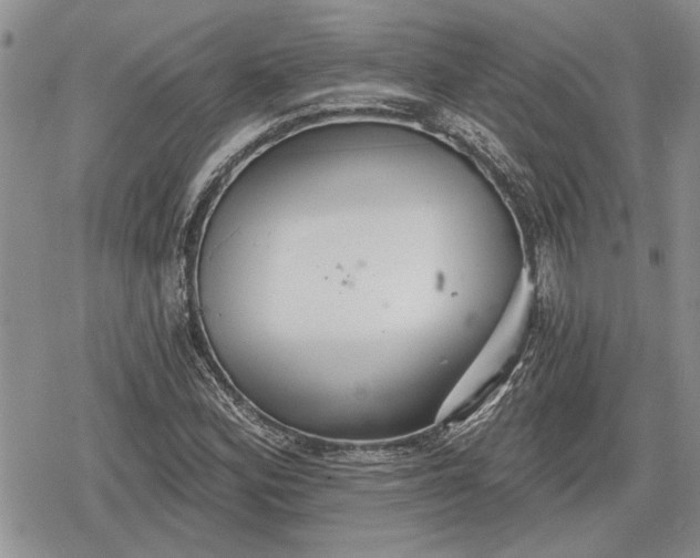 X0000078831164200611271250