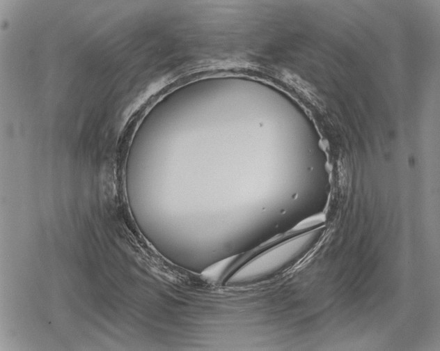 X0000078831165200611271250