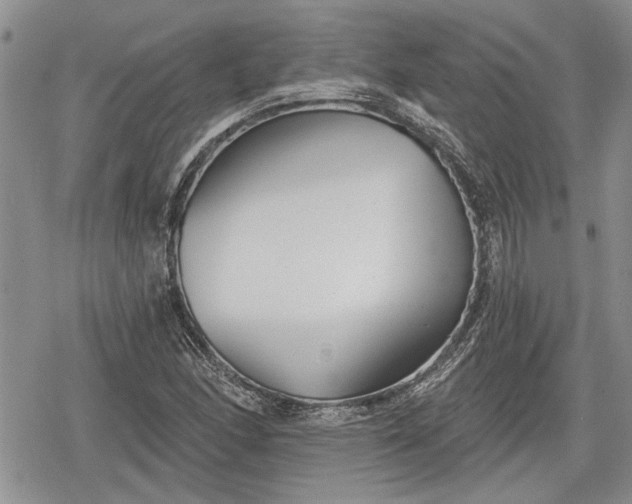 X0000078831166200611271250