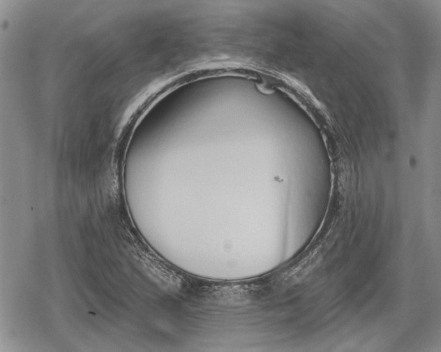 X0000078831167200611271250