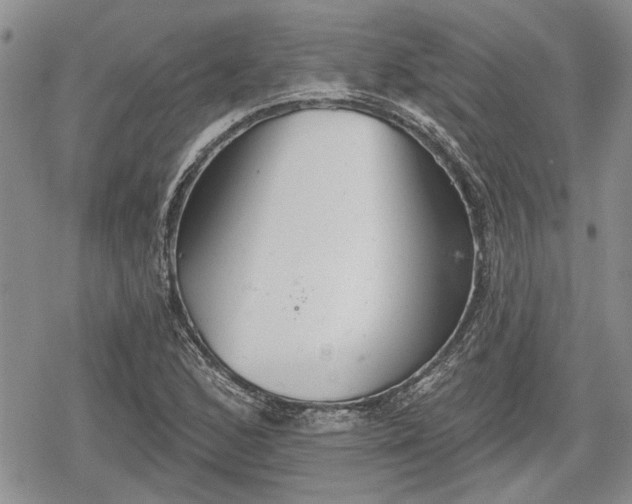 X0000078831168200611271250