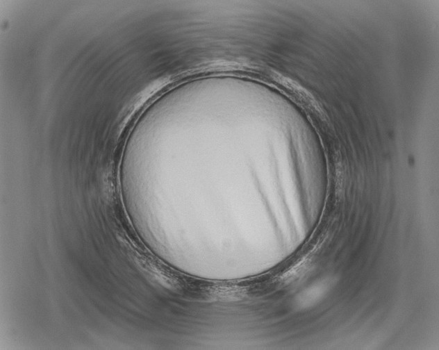 X0000078831170200611271250