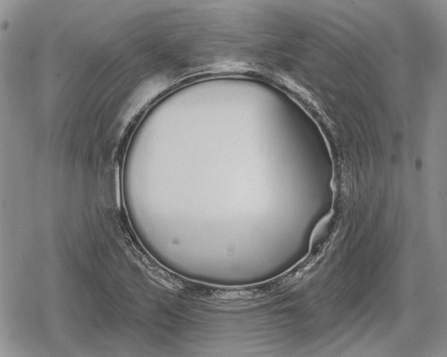 X0000078831171200611271249