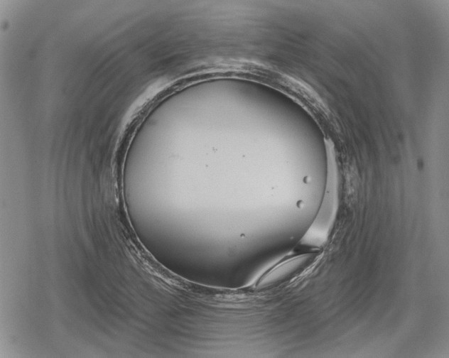 X0000078831172200611271249