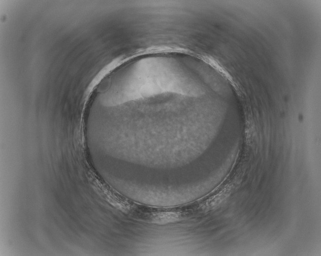 X0000078831173200611271249