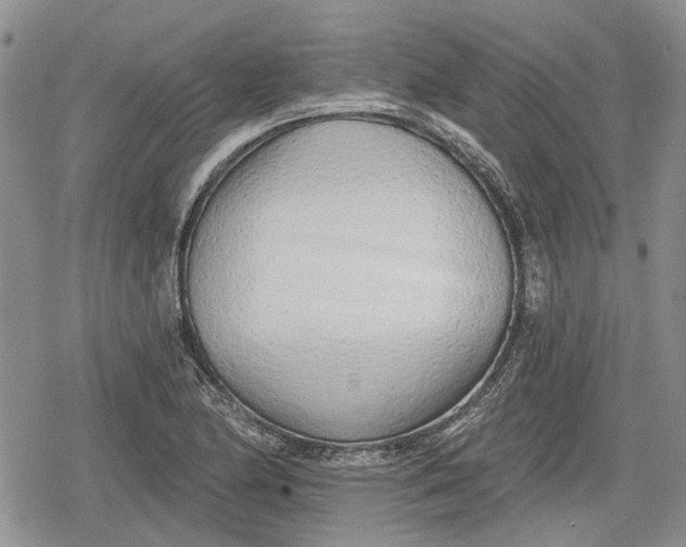 X0000078831174200611271249