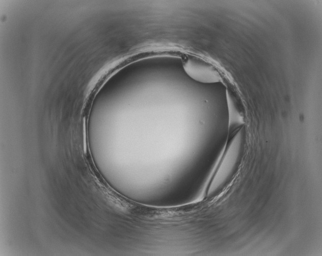 X0000078831175200611271249