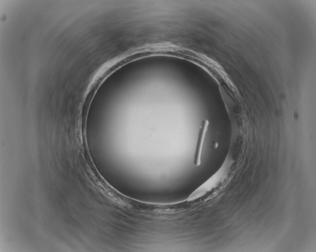 X0000078831176200611271249