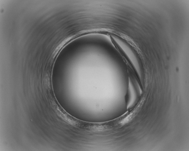 X0000078831177200611271249