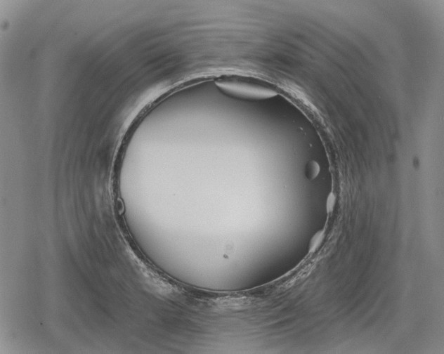 X0000078831181200611271249