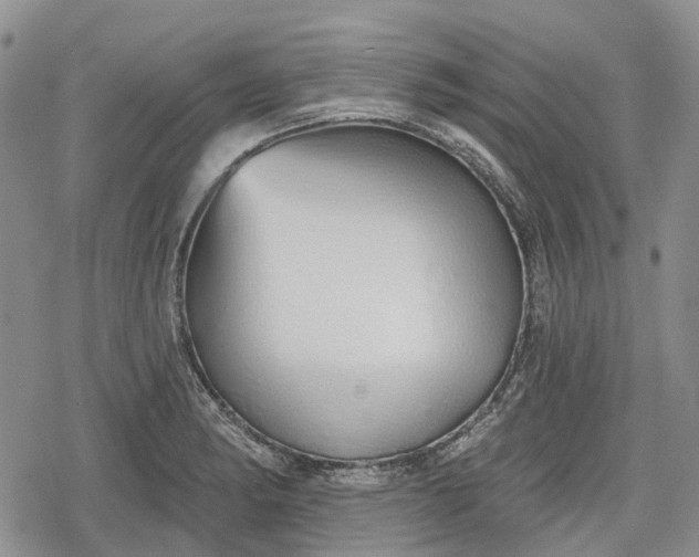 X0000078831182200611271249