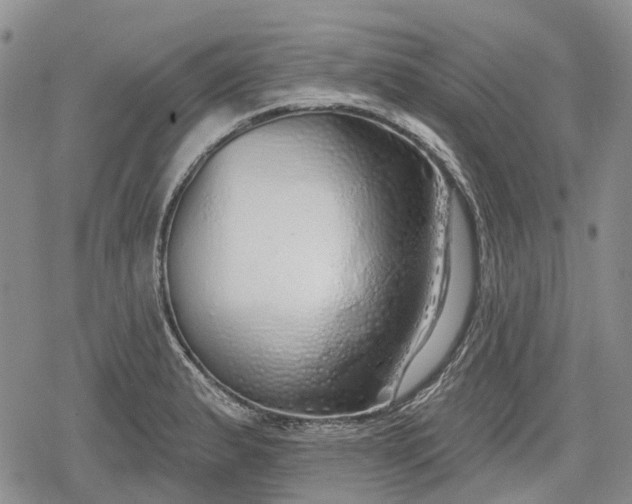 X0000078831183200611271249