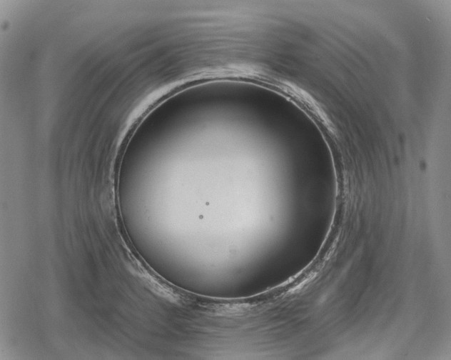 X0000078831184200611271249