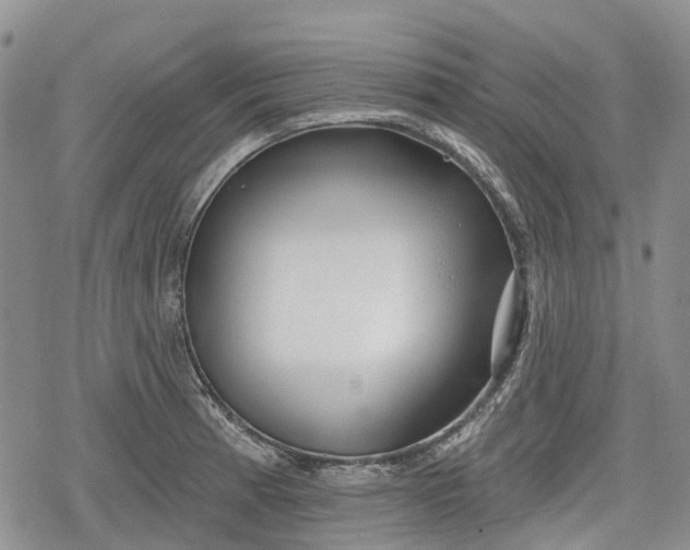 X0000078831185200611271249