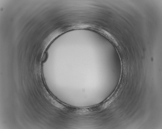 X0000078831186200611271249