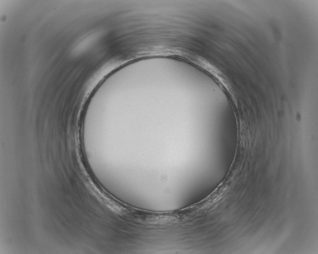 X0000078831187200611271249